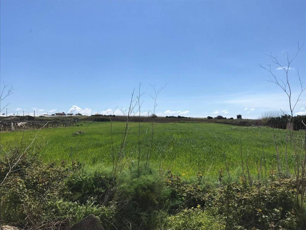 Terreno a Pachino in contrada maucini - Foto 3