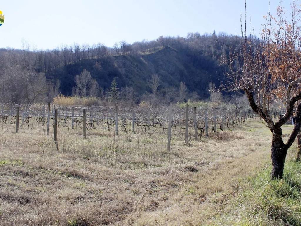Villa a Bisenti in Strada Provinciale 34 - Foto 2