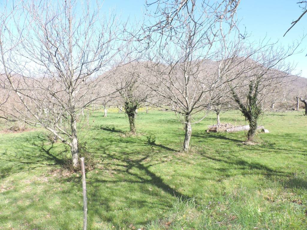 Terreno a Roccamonfina in roccamonfina s.n.c - Foto 2