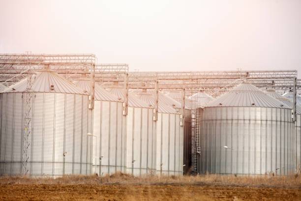 Immobile a Acquaviva delle fonti in Strada Vicinale Vecchia di Gioia - Foto 3