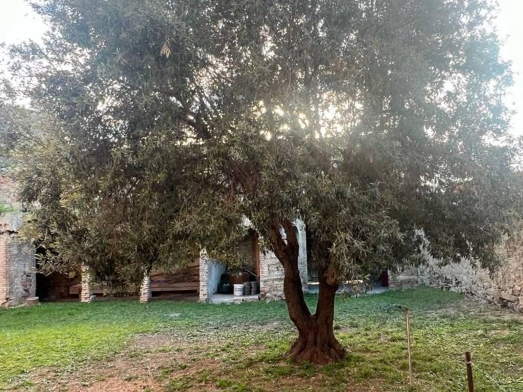 Villa a Settimo san pietro - Foto 5