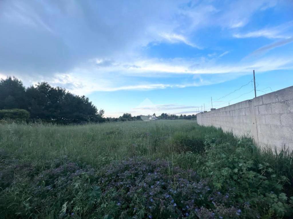 Terreno a Mesagne in Via vecchia ceglie - Foto 2