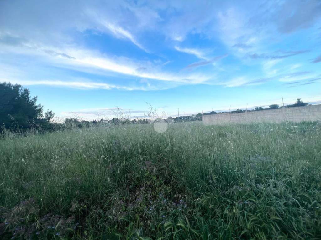 Terreno a Mesagne in Via vecchia ceglie - Foto 3
