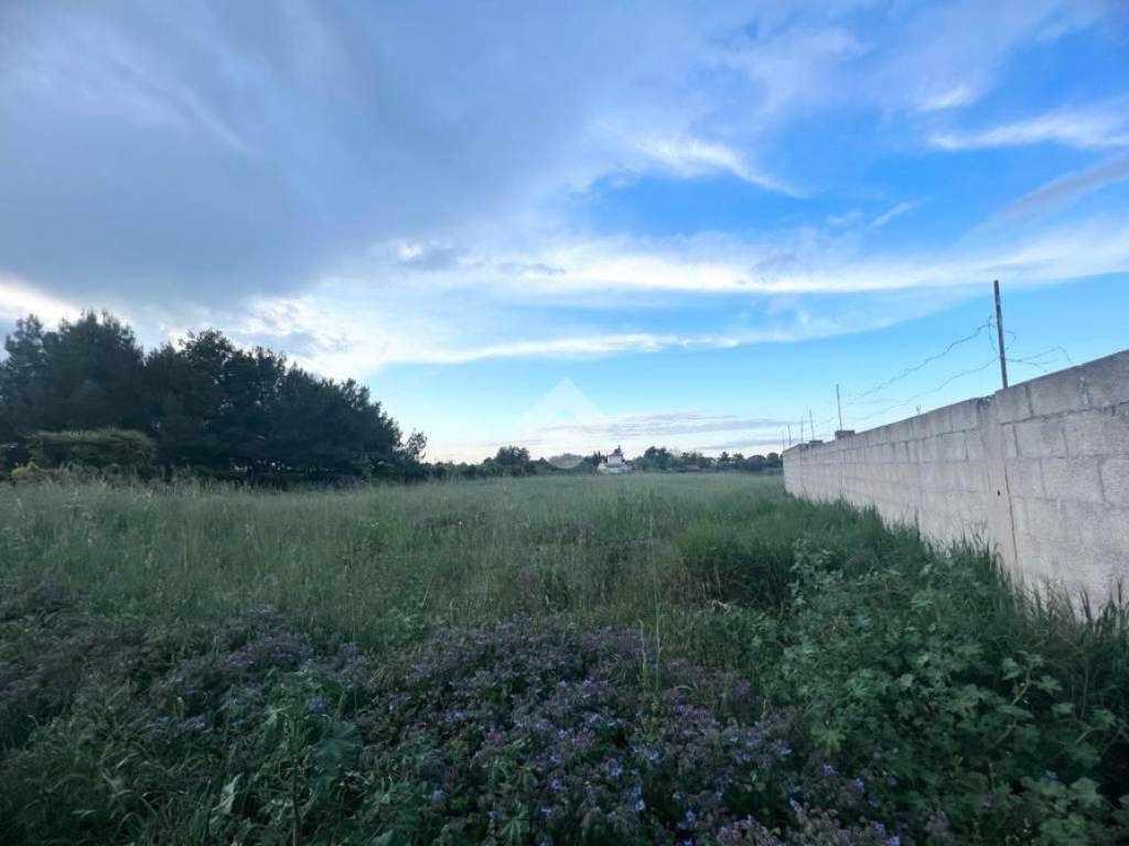 Terreno a Mesagne in Via vecchia ceglie - Foto 4