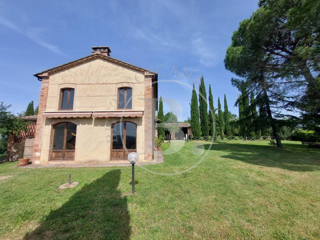Rustico / casale a Castelnuovo berardenga in Sestano - Foto 4