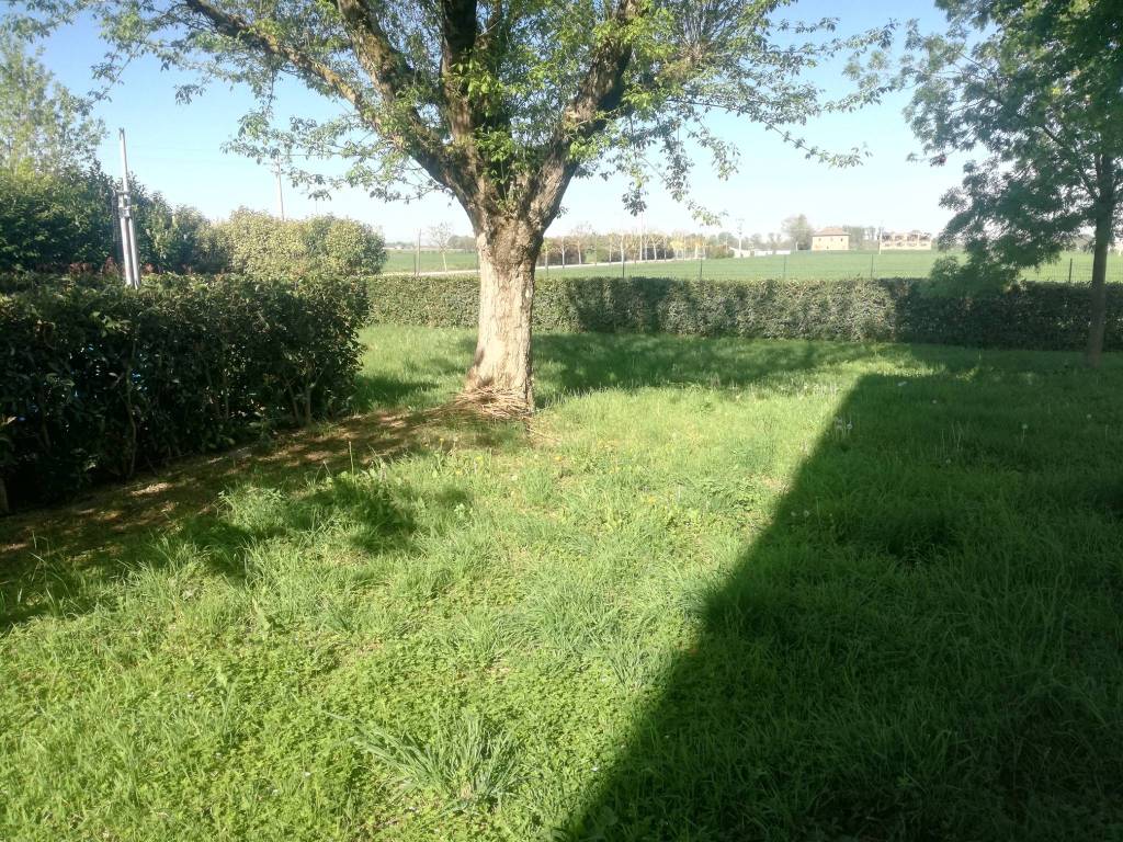 Villa a Castelfranco emilia in Via Celeste - Foto 2