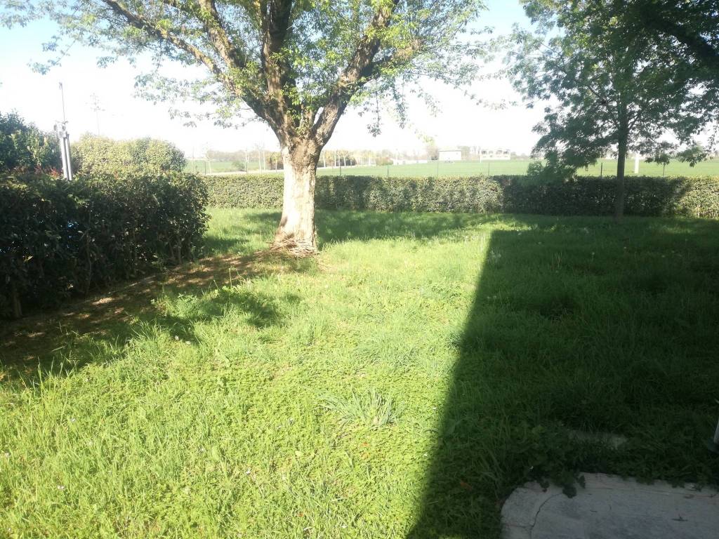 Villa a Castelfranco emilia in Via Celeste - Foto 4