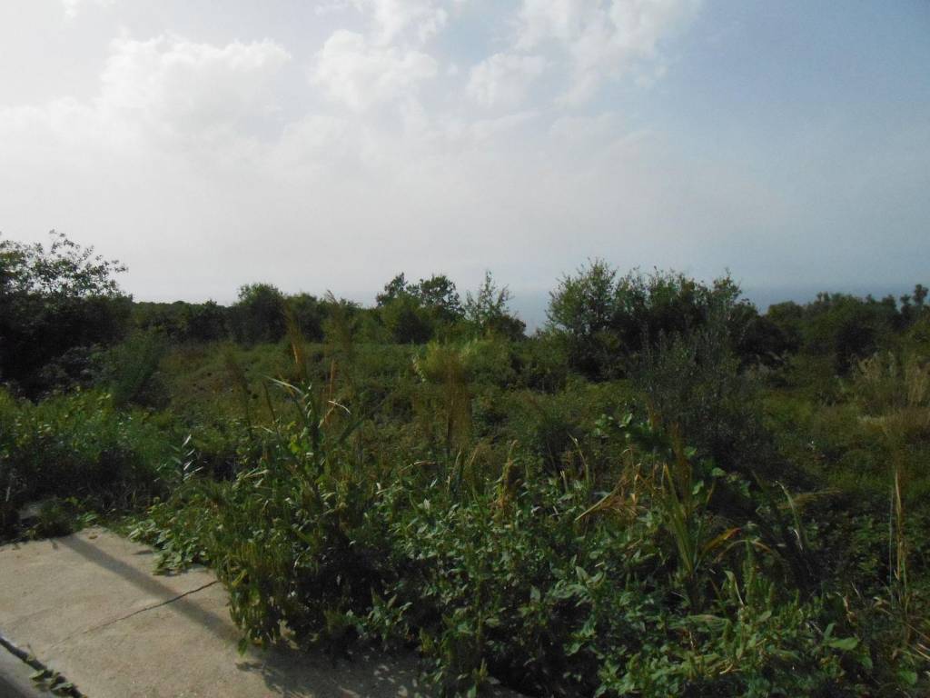 Terreno a Drapia in Taccone - Foto 3