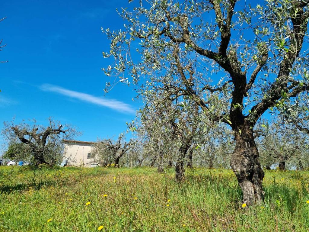 Terreno a Cori in Via Cori-Cisterna - Foto 2