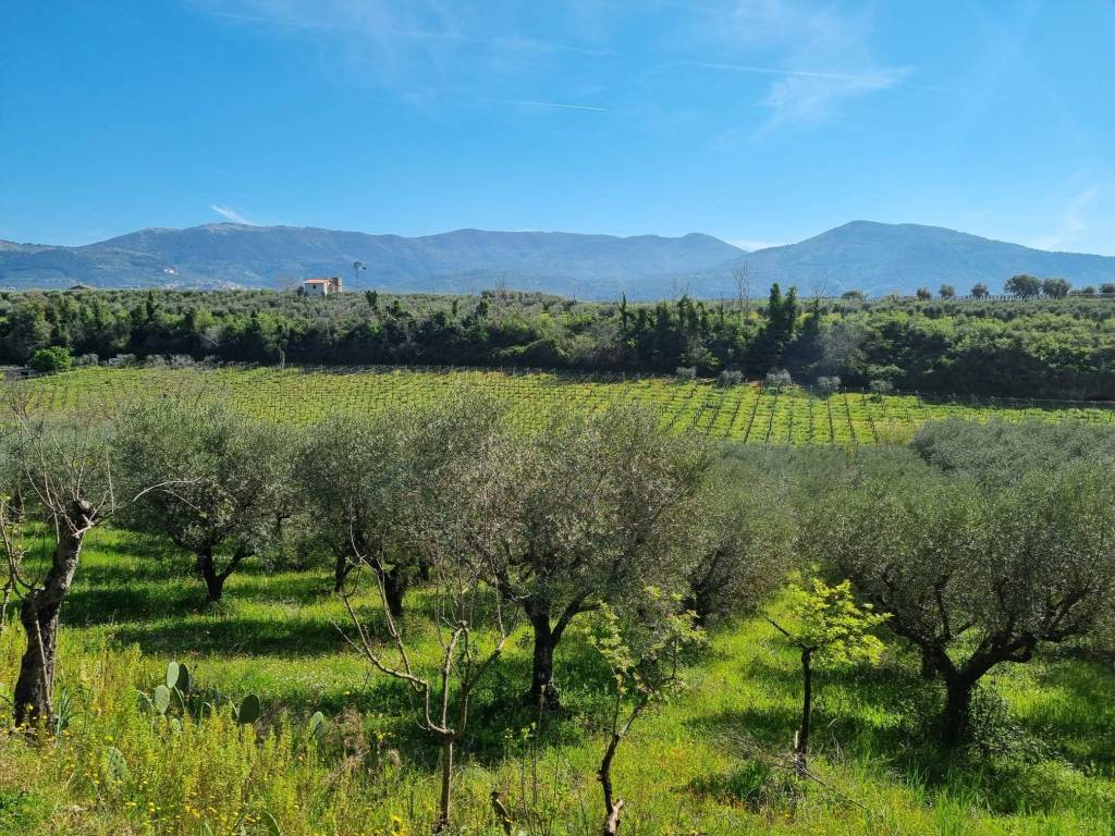 Terreno a Cori in Via Cori-Cisterna - Foto 4