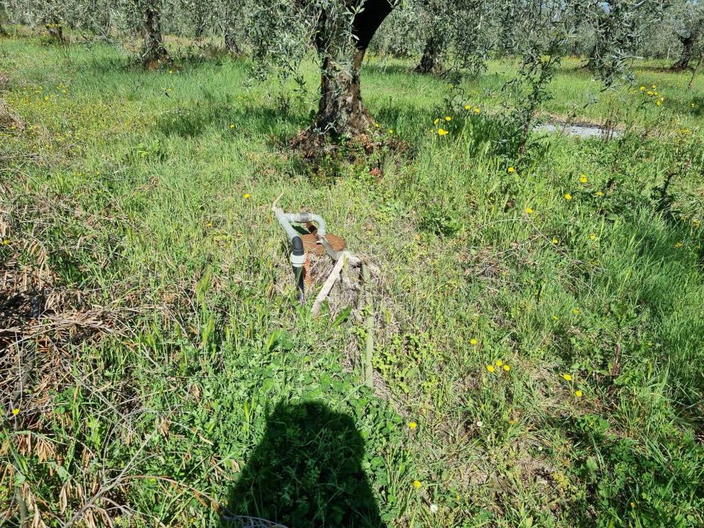 Terreno a Cori in Via Cori-Cisterna - Foto 5