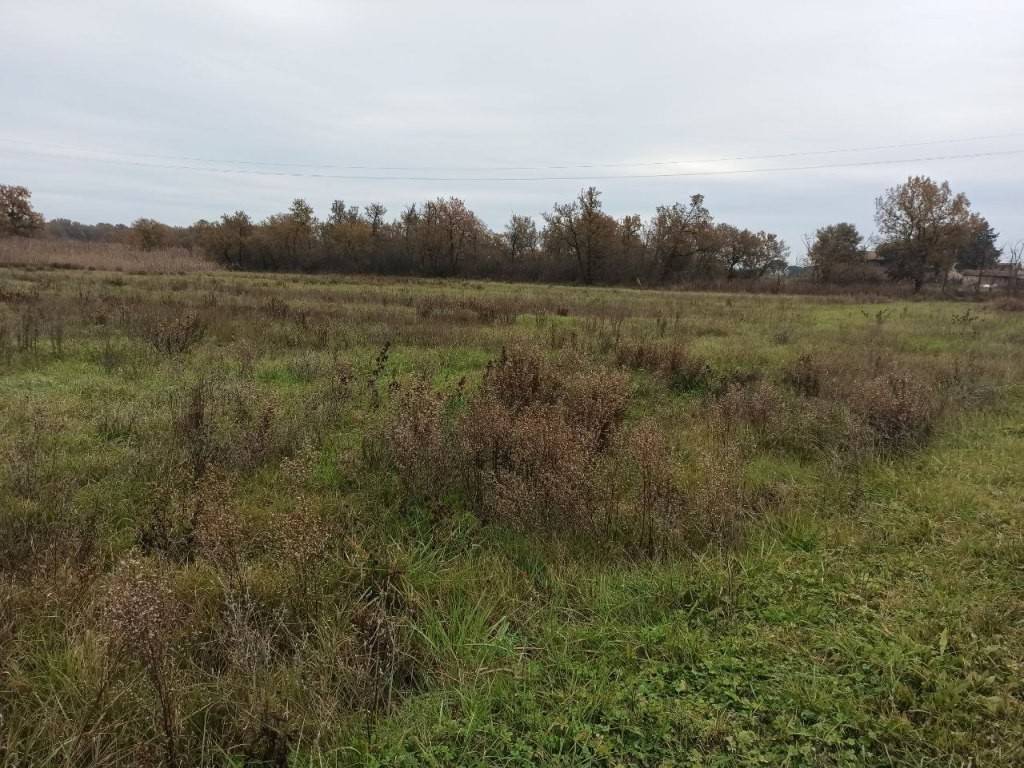 Terreno a Castiglione del lago in Località Barditella - Foto 2