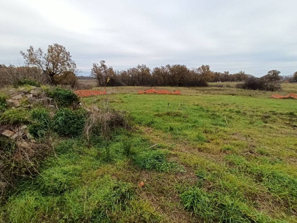 Terreno a Castiglione del lago in Località Barditella - Foto 3