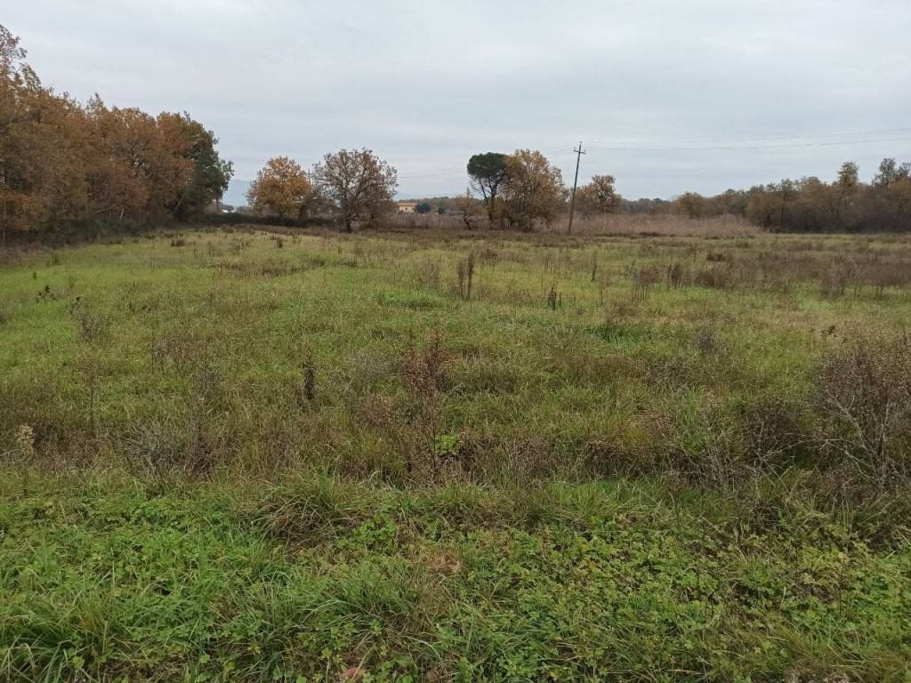 Terreno a Castiglione del lago in Località Barditella - Foto 4