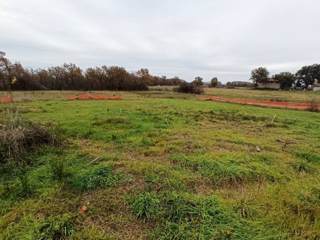 Terreno a Castiglione del lago in Località Barditella - Foto 5