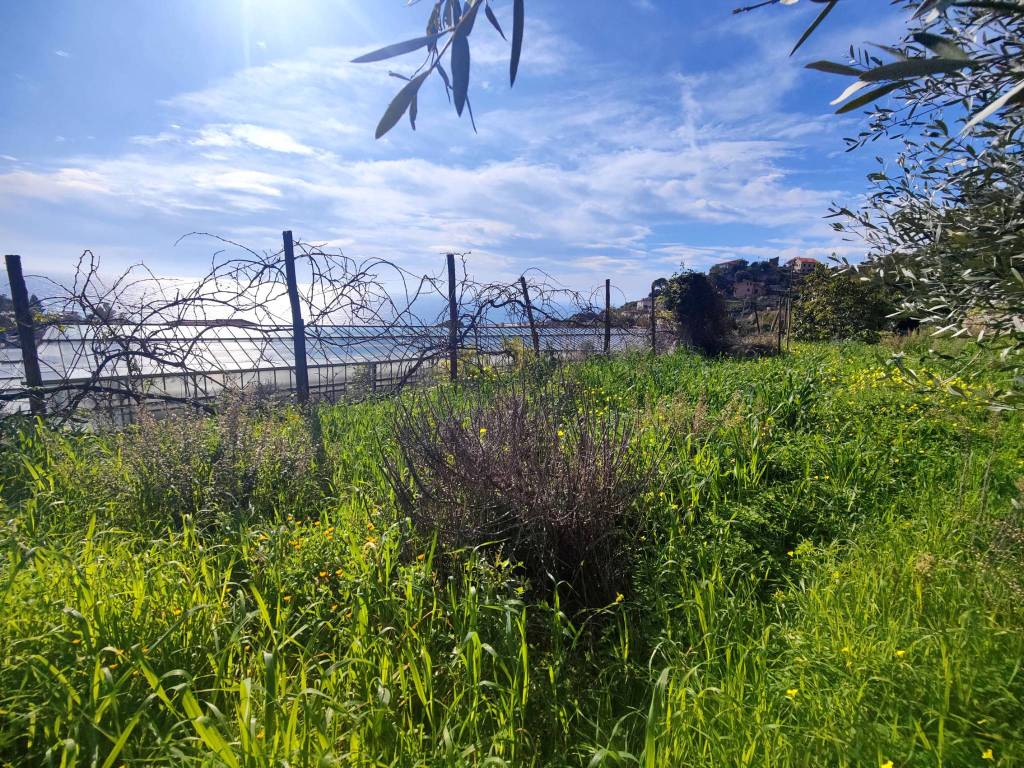 Terreno a Ospedaletti in Strada Punta San Pietro - Foto 2