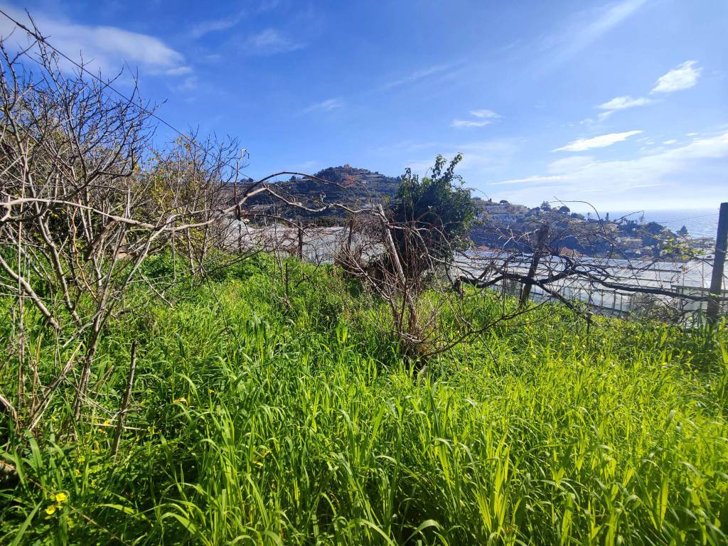 Terreno a Ospedaletti in Strada Punta San Pietro - Foto 3