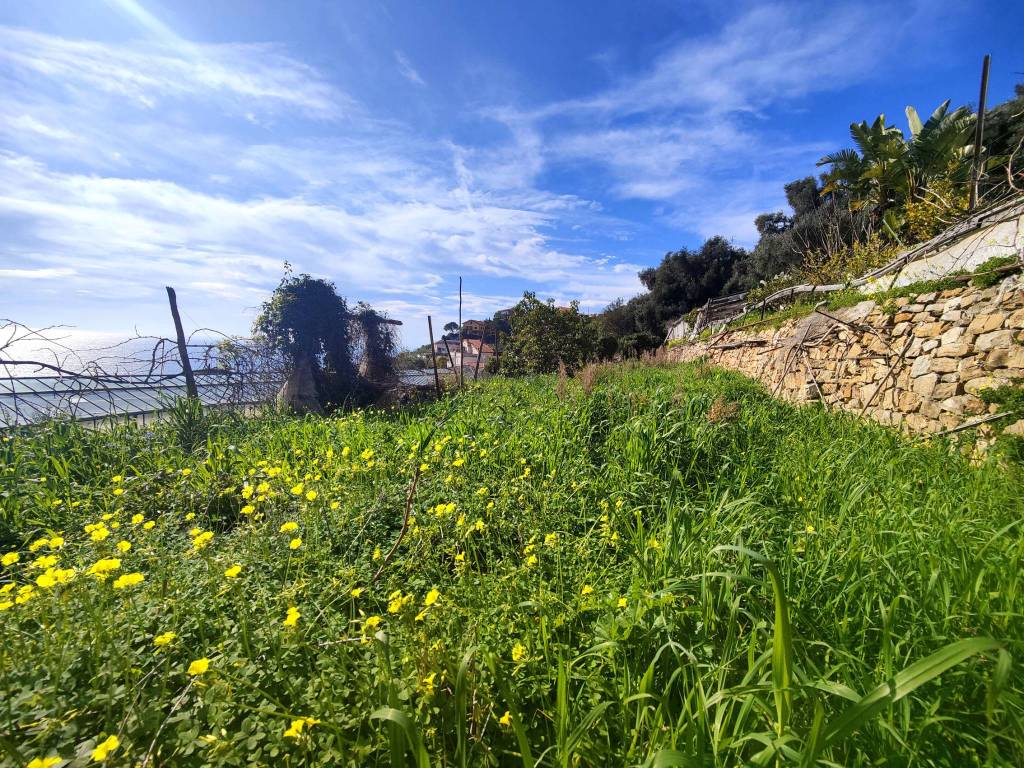 Terreno a Ospedaletti in Strada Punta San Pietro - Foto 4