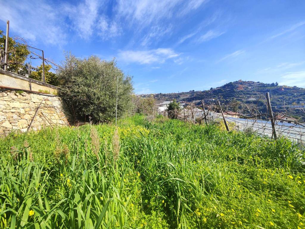 Terreno a Ospedaletti in Strada Punta San Pietro - Foto 5