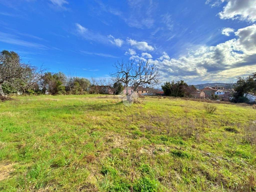 Terreno a Montefiore conca in Via provinciale - Foto 2