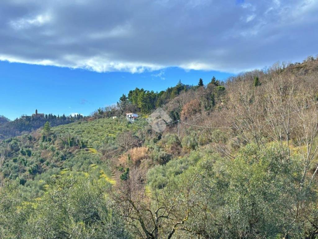 Terreno a Montefiore conca in Via provinciale - Foto 4