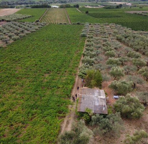 Terreno a Casalbordino in Contrada San Pietro Sud - Foto 2