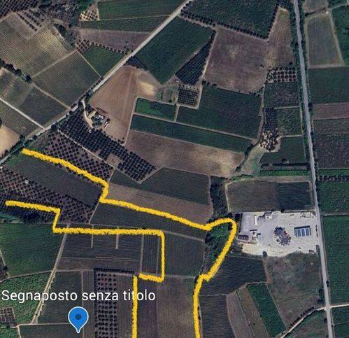 Terreno a Casalbordino in Contrada San Pietro Sud - Foto 3