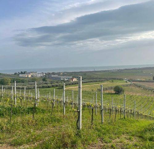 Terreno a Casalbordino in Contrada San Pietro Sud - Foto 5