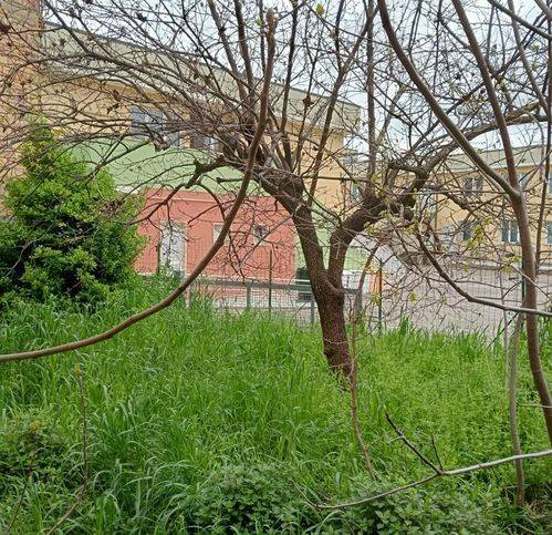 Terreno a Gissi in Via Del Mercato - Foto 5