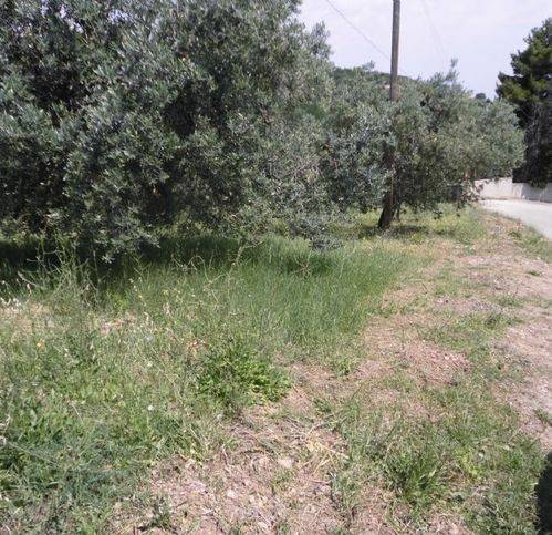 Terreno a Vasto in Via Mario Molino - Foto 2