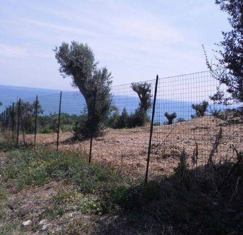 Terreno a Vasto in Via Mario Molino - Foto 3