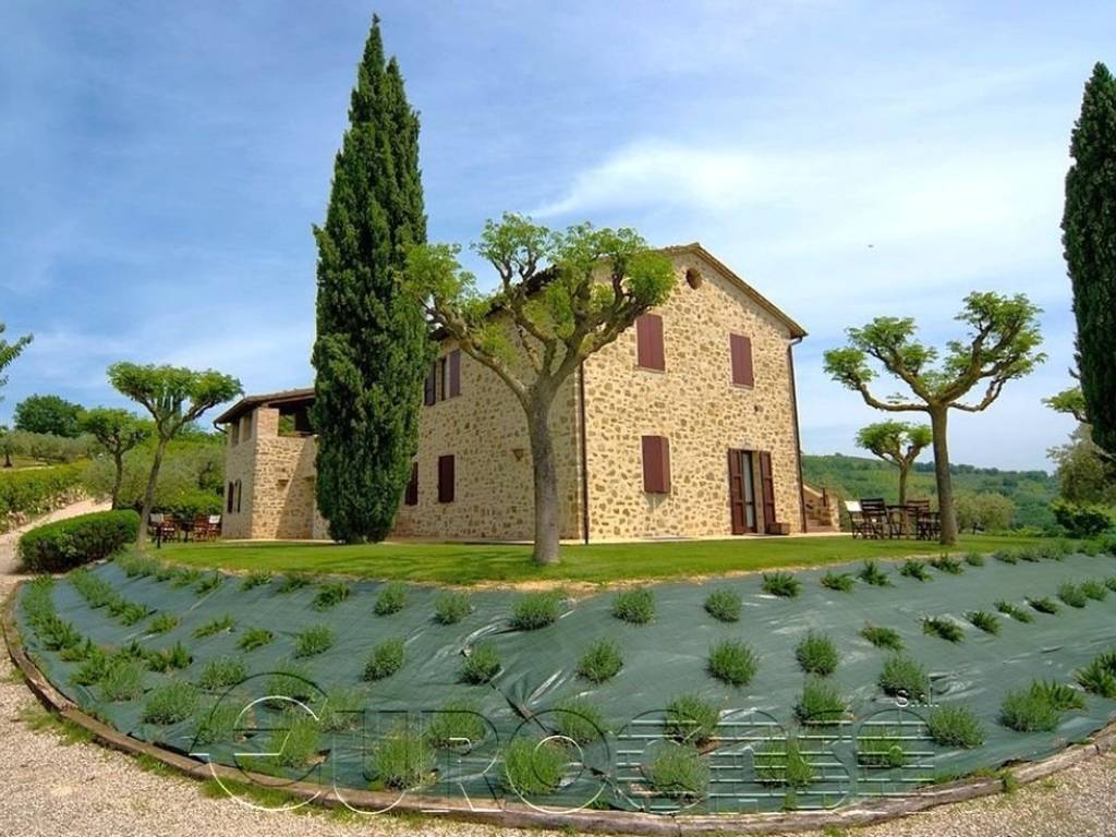 Rustico / casale a Assisi in ASSISI - Foto 2