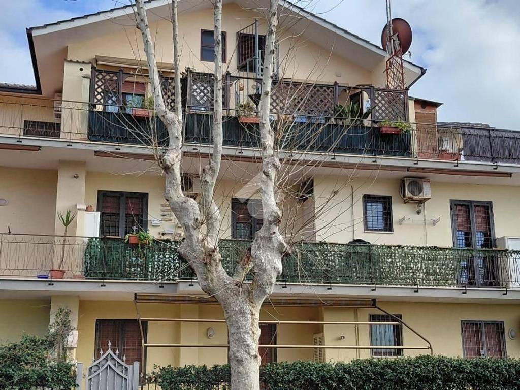 Appartamento a Ladispoli in Via Roma, 100 - Foto 3