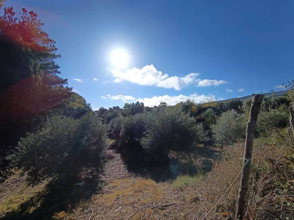 Terreno a Castiglione di sicilia in Solicchiata No Number - Foto 2