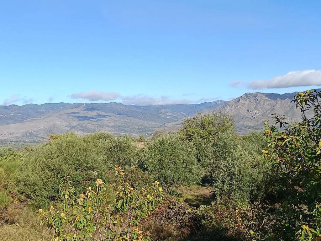 Terreno a Castiglione di sicilia in Solicchiata No Number - Foto 3