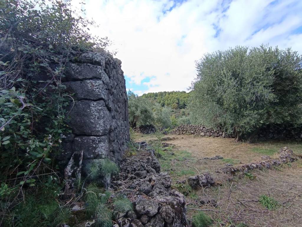 Terreno a Castiglione di sicilia in Solicchiata No Number - Foto 4