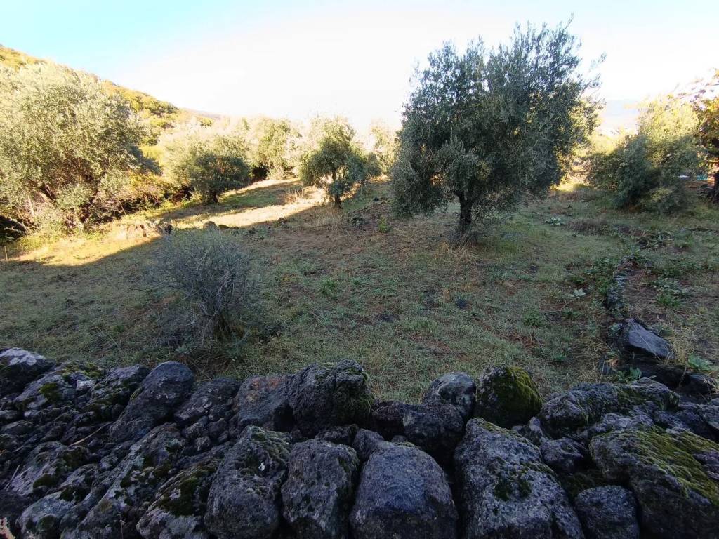 Terreno a Castiglione di sicilia in Solicchiata No Number - Foto 5