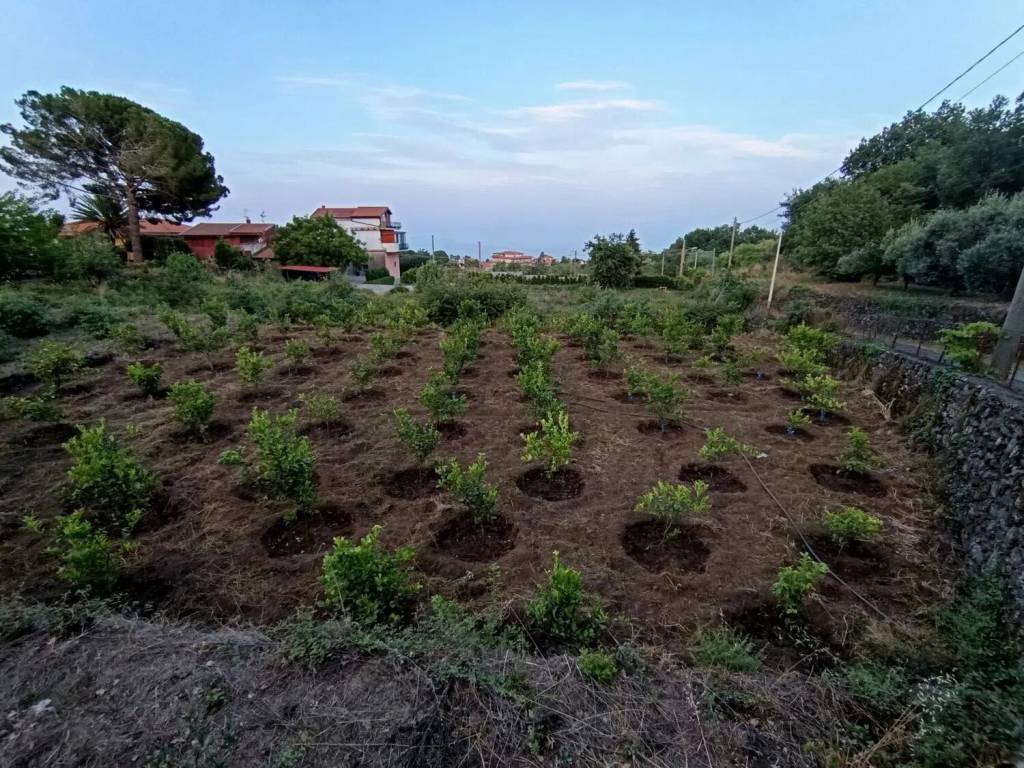 Terreno a Santa venerina in Via Giacomo Matteotti No Number - Foto 2
