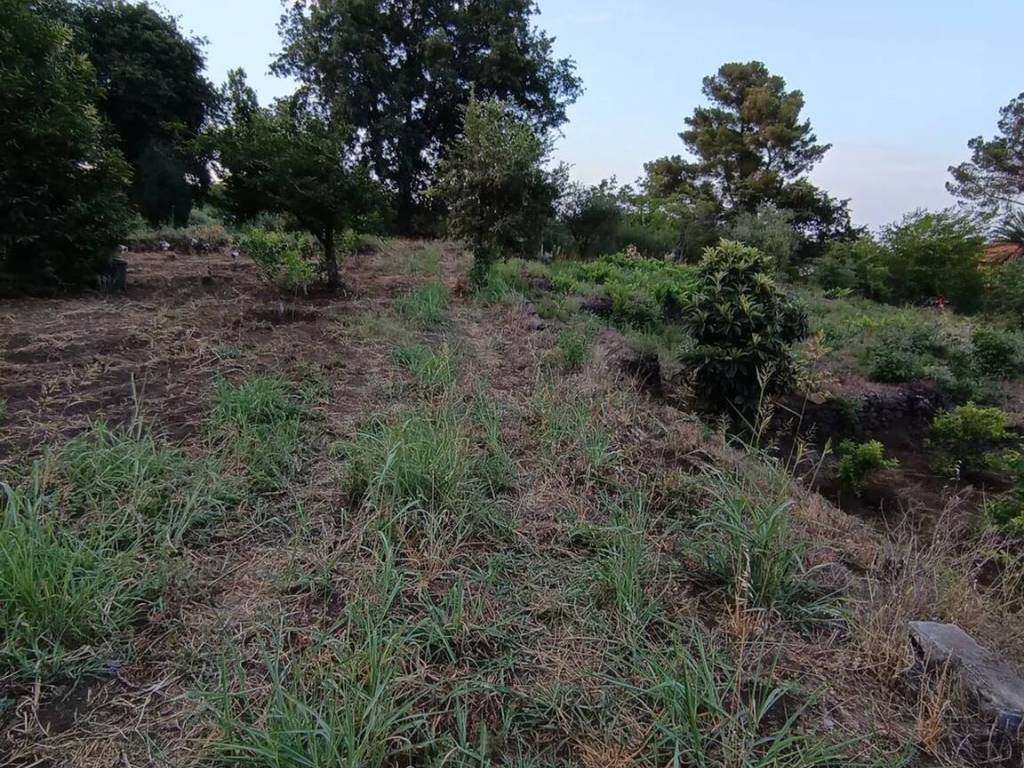 Terreno a Santa venerina in Via Giacomo Matteotti No Number - Foto 3