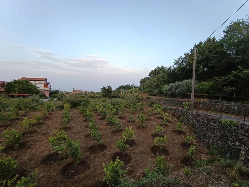 Terreno a Santa venerina in Via Giacomo Matteotti No Number - Foto 4