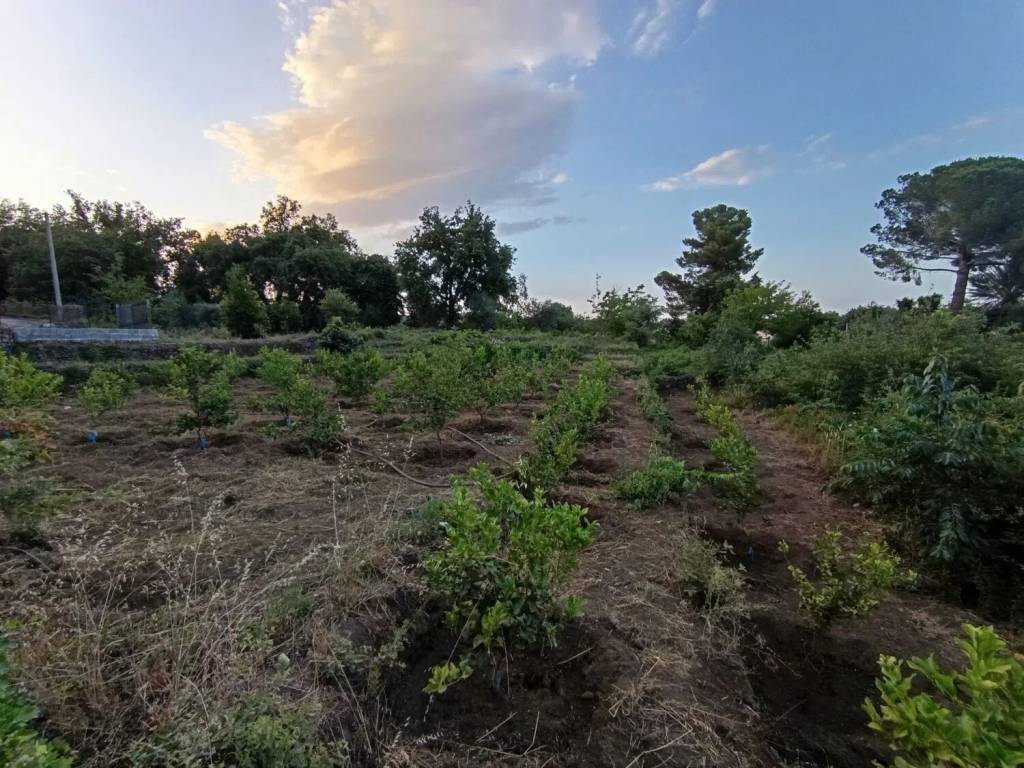 Terreno a Santa venerina in Via Giacomo Matteotti No Number - Foto 5