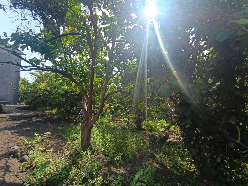 Terreno a Riposto in Provinciale Carrubba No Number - Foto 4