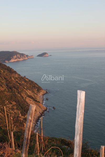 Rustico / casale a Riomaggiore - Foto 2