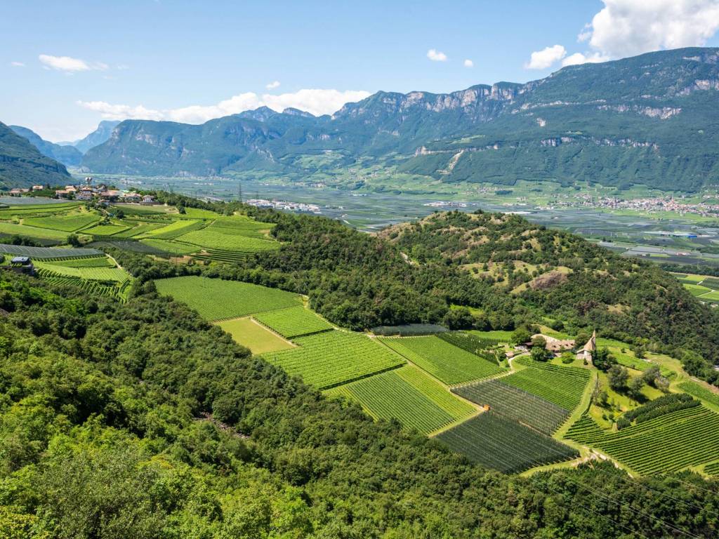 Appartamento a Appiano sulla strada del vino in Via Rittstein, 5 - Foto 5