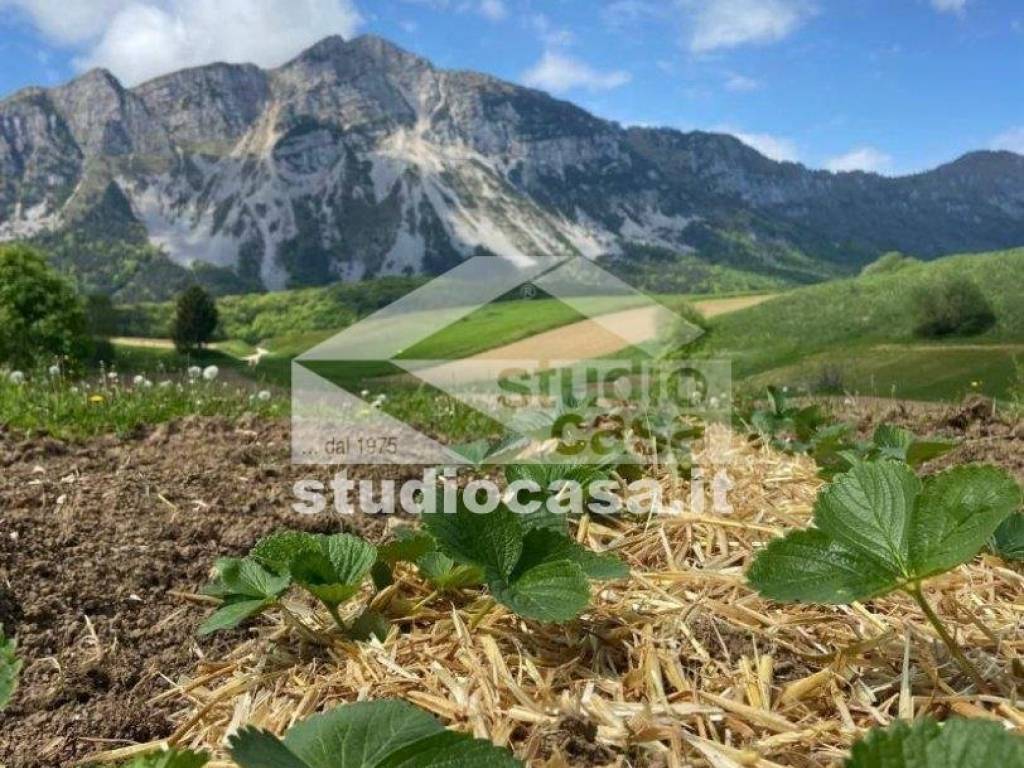 Terreno a Ronzo-chienis - Foto 3