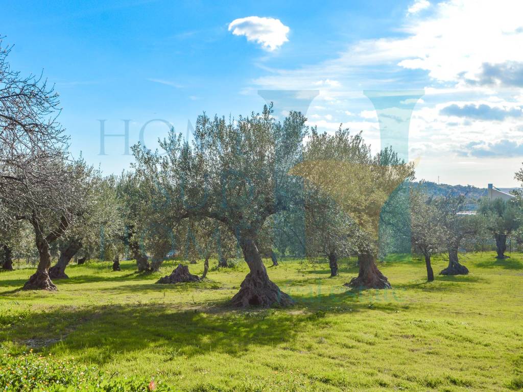 Terreno a Noto in Via Tommaso Fazello, 228 - Foto 2