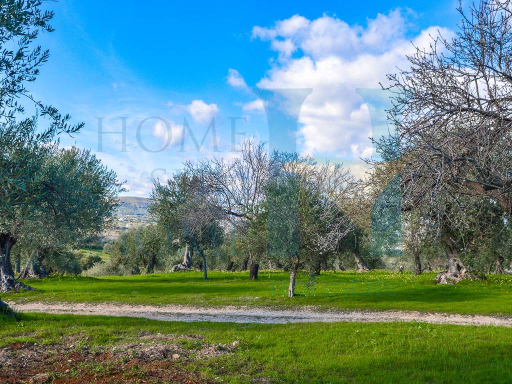 Terreno a Noto in Via Tommaso Fazello, 228 - Foto 3
