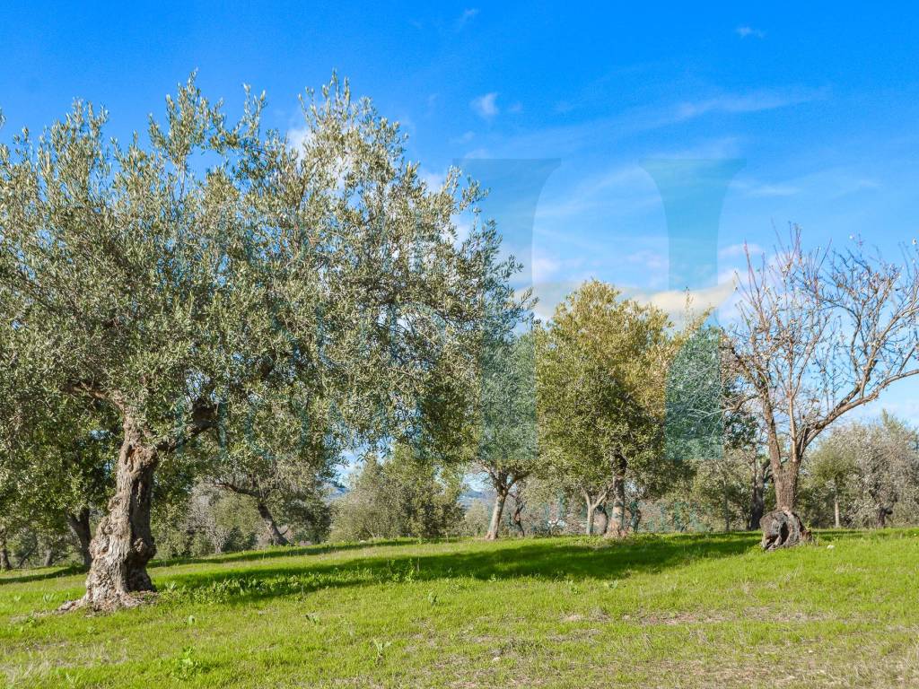 Terreno a Noto in Via Tommaso Fazello, 228 - Foto 5