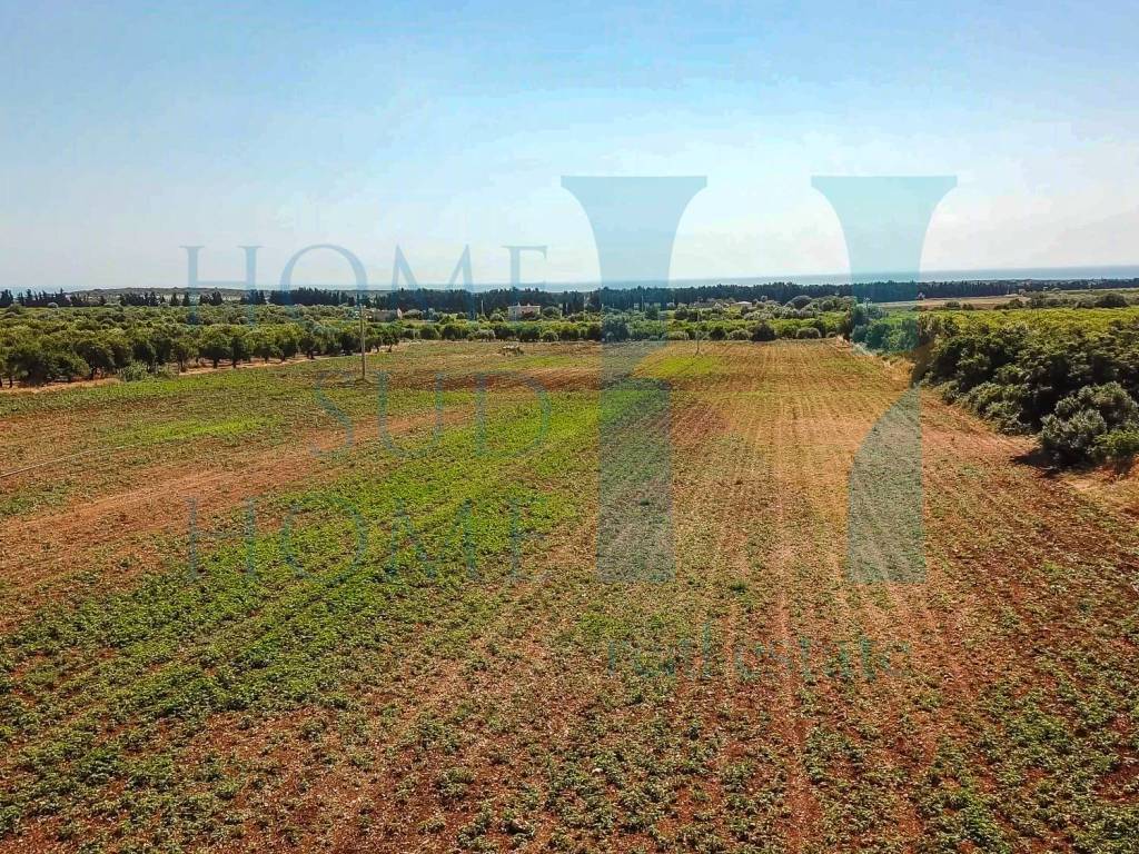 Terreno a Noto in Via Tommaso Fazello, 228 - Foto 2