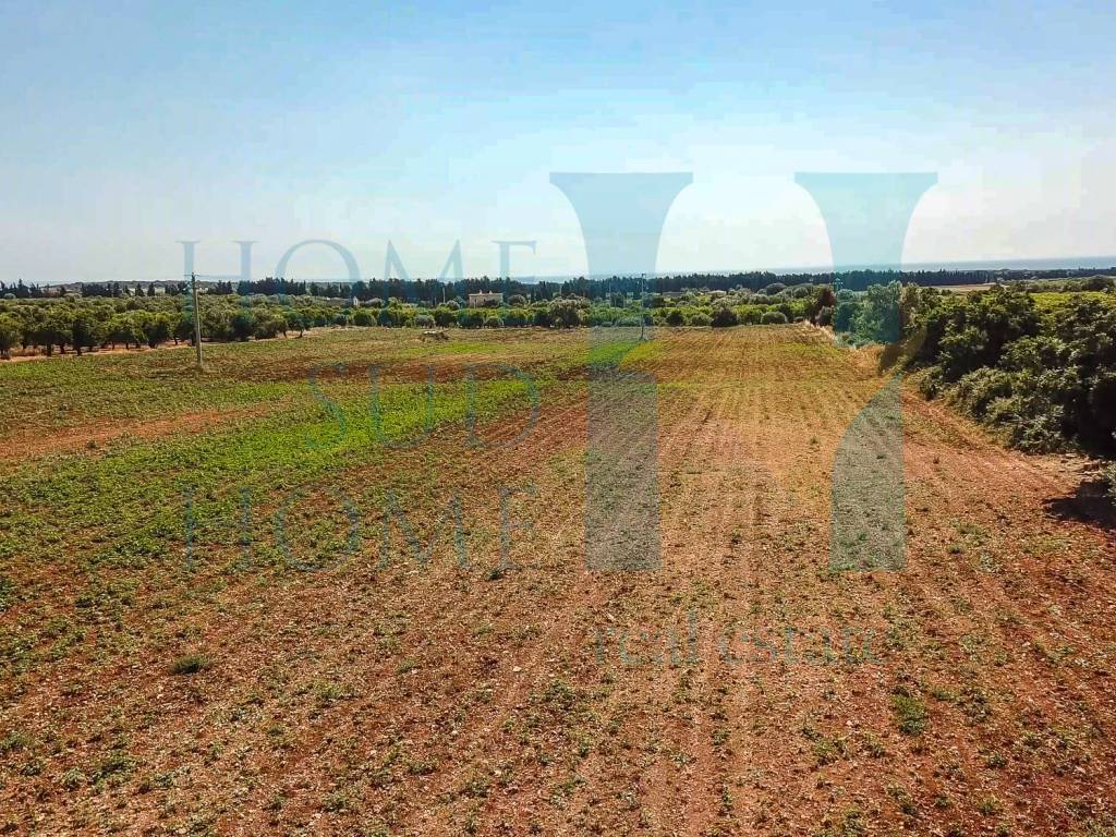 Terreno a Noto in Via Tommaso Fazello, 228 - Foto 4